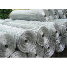 Security Galvanized Wire Mesh Roll